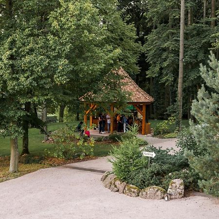 Maison D'Hotes Les Jardins De Madeleine Bernardvillé Eksteriør bilde