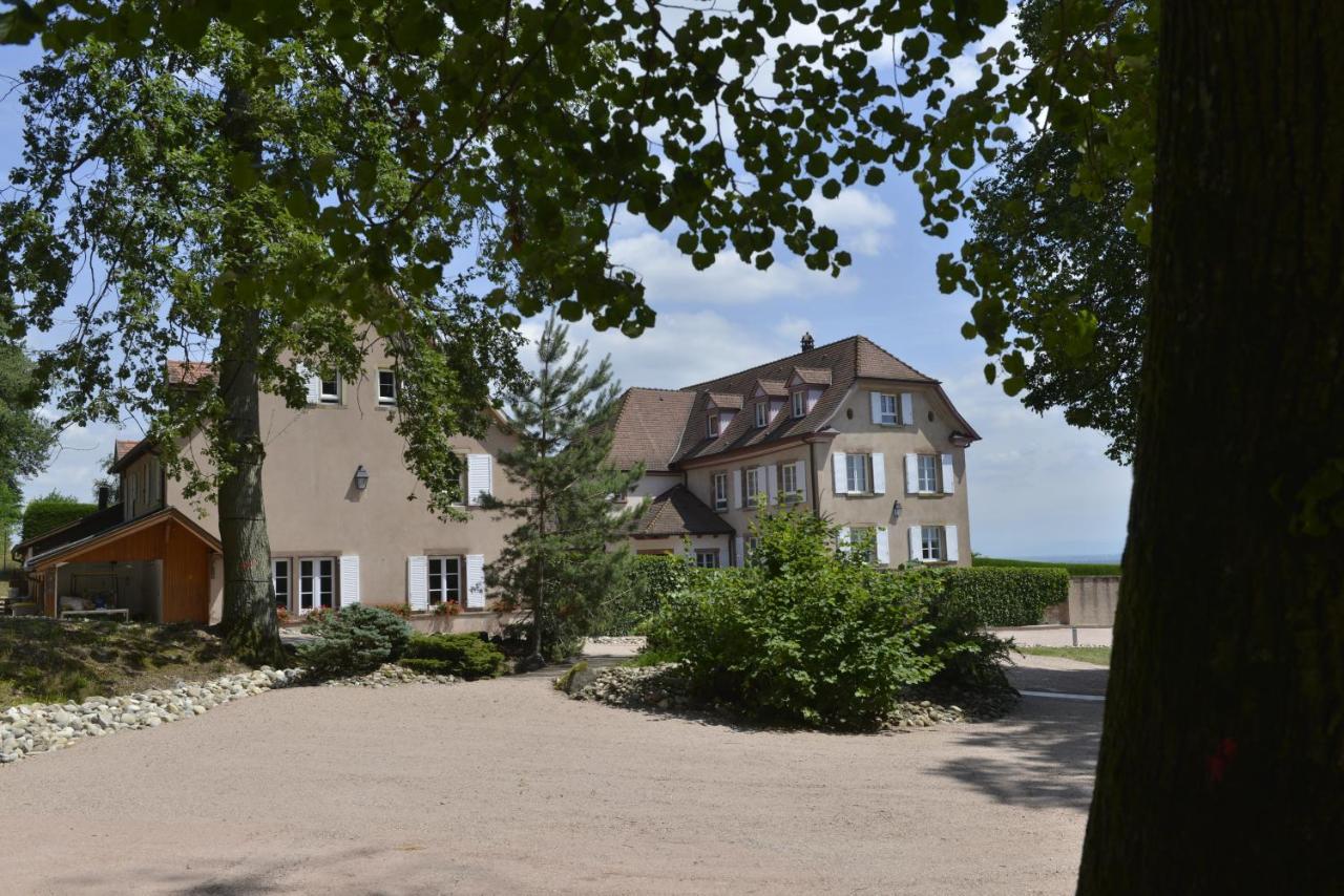 Maison D'Hotes Les Jardins De Madeleine Bernardvillé Eksteriør bilde